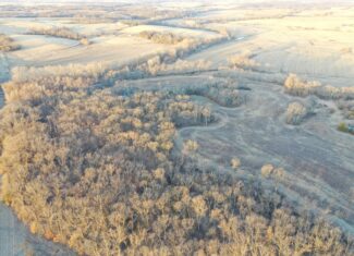 Missouri Farm with CRP Income, Timber & Prime Hunting