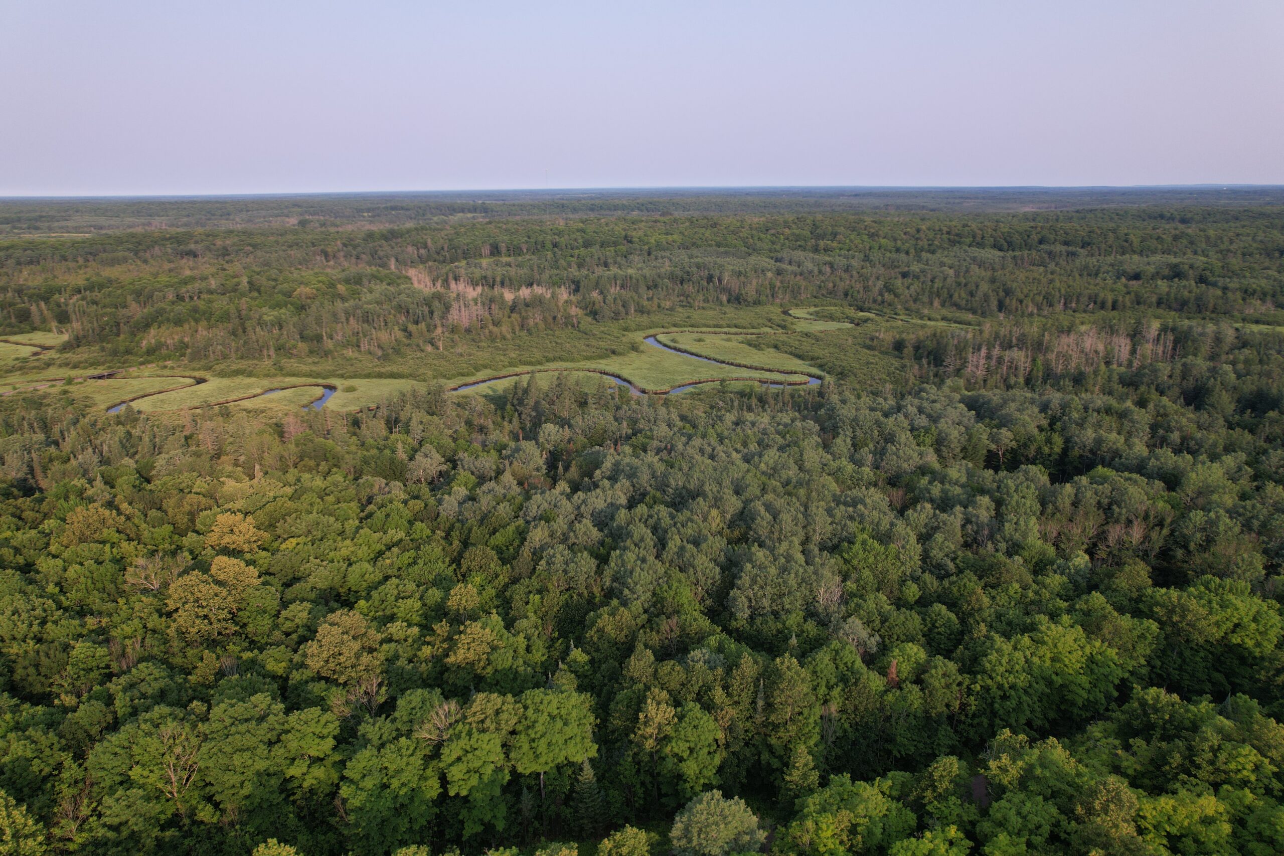 Acreage for Sale in Butternut, Wisconsin
