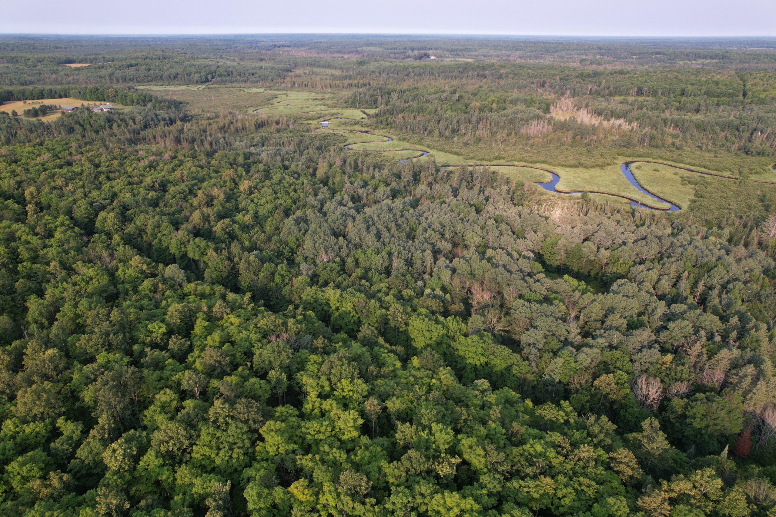 Acreage for Sale in Butternut, Wisconsin