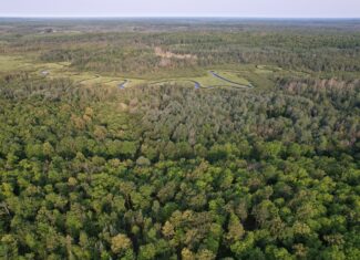Acreage for Sale in Butternut, Wisconsin