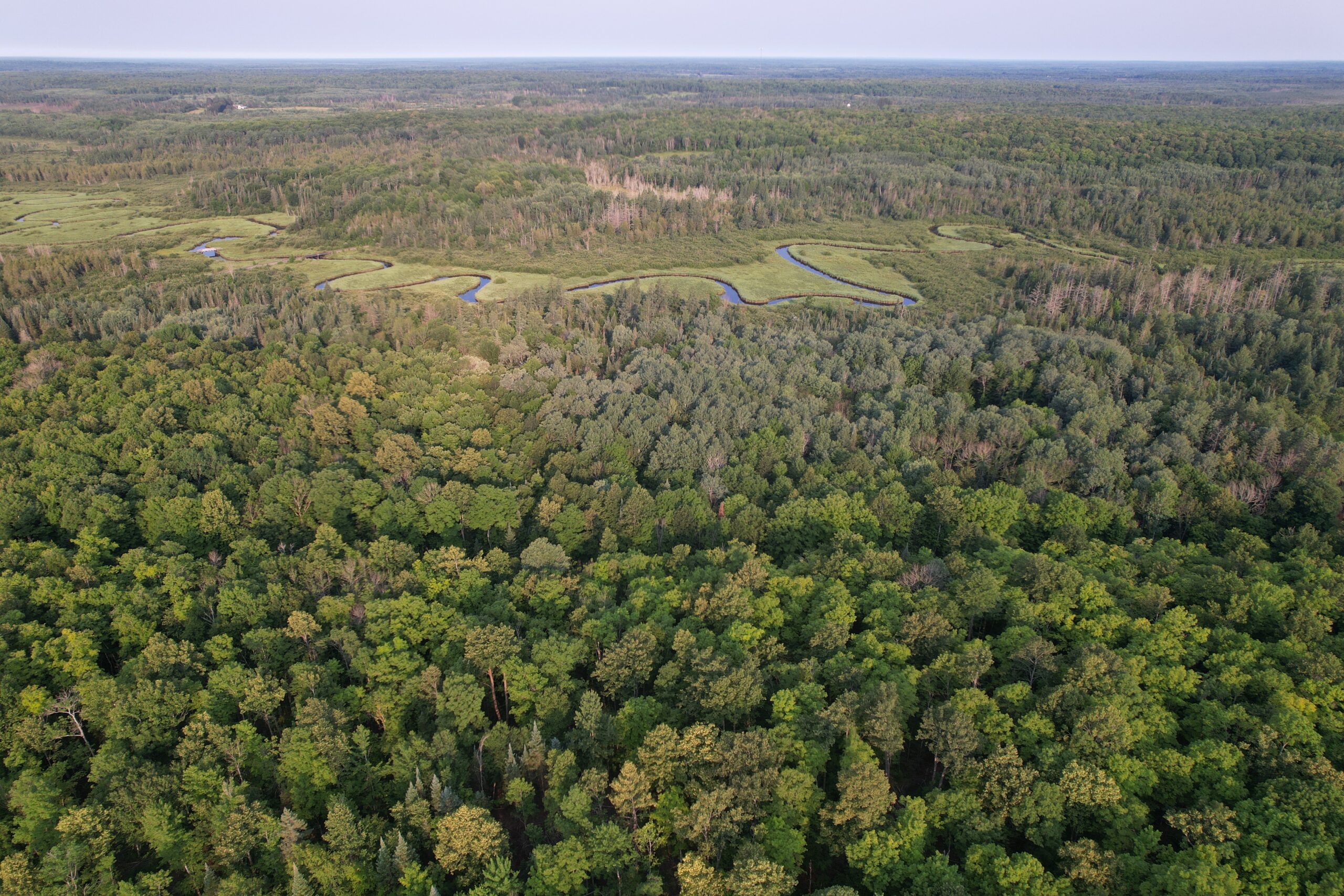 Acreage for Sale in Butternut, Wisconsin