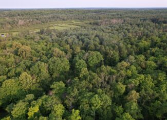 Acreage for Sale in Butternut, Wisconsin