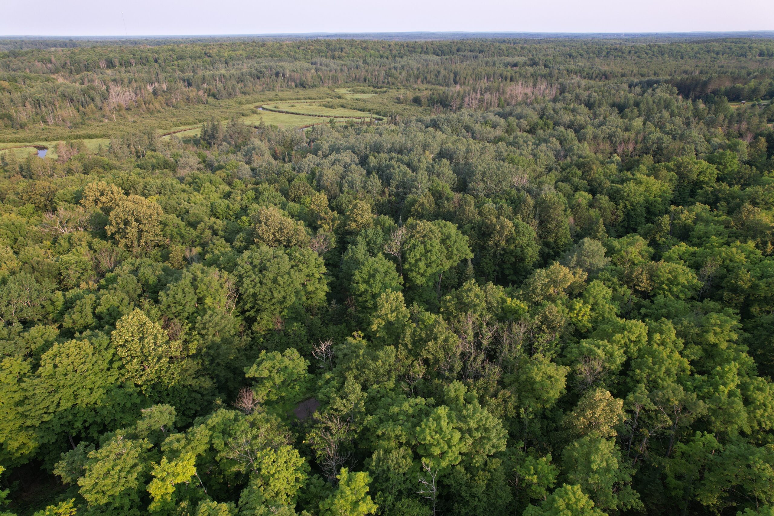 Acreage for Sale in Butternut, Wisconsin