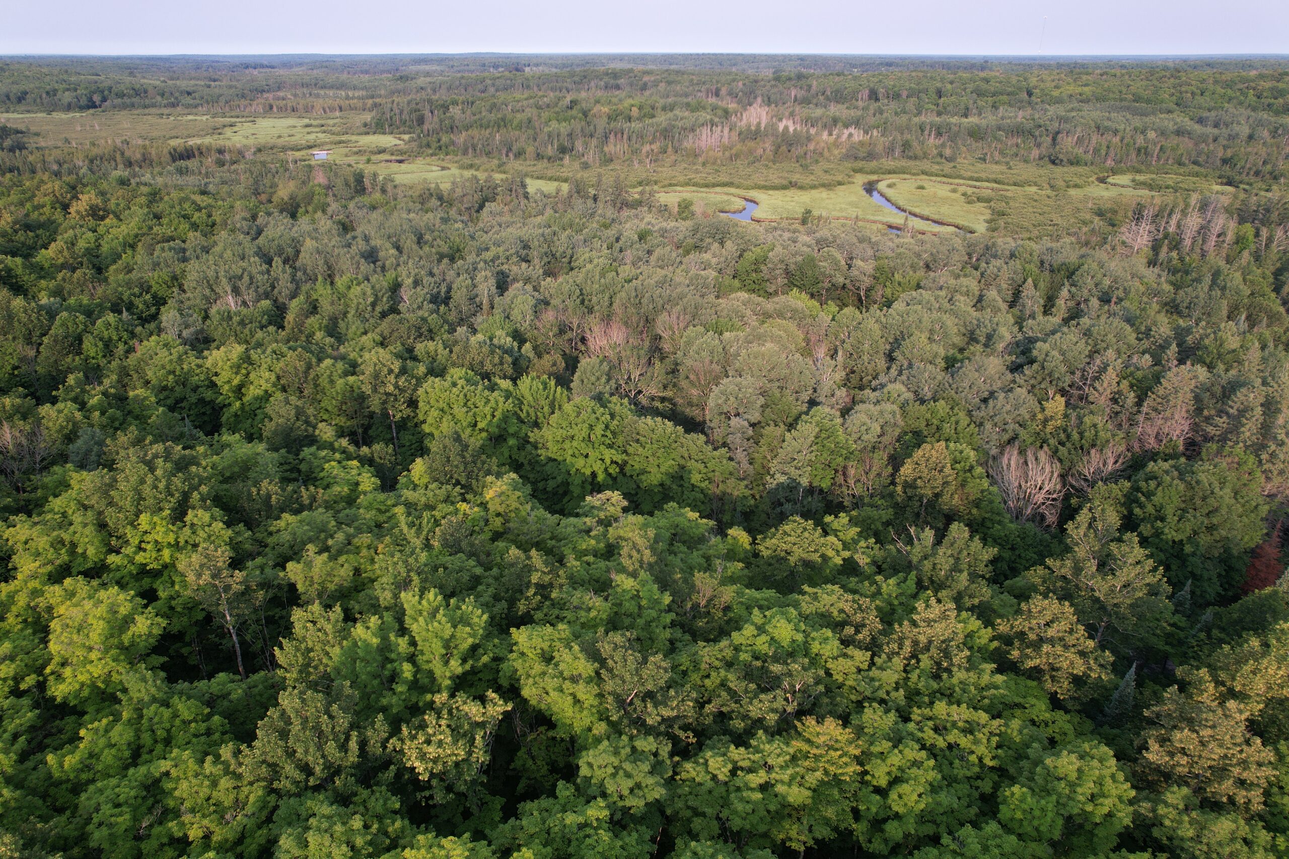 Acreage for Sale in Butternut, Wisconsin