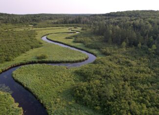 Acreage for Sale in Butternut, Wisconsin