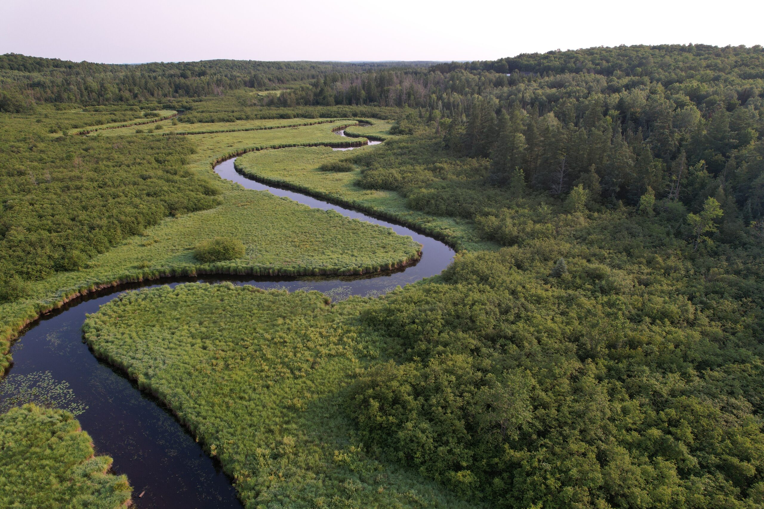 Acreage for Sale in Butternut, Wisconsin