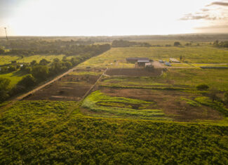 496+\- acres Sheldon MO