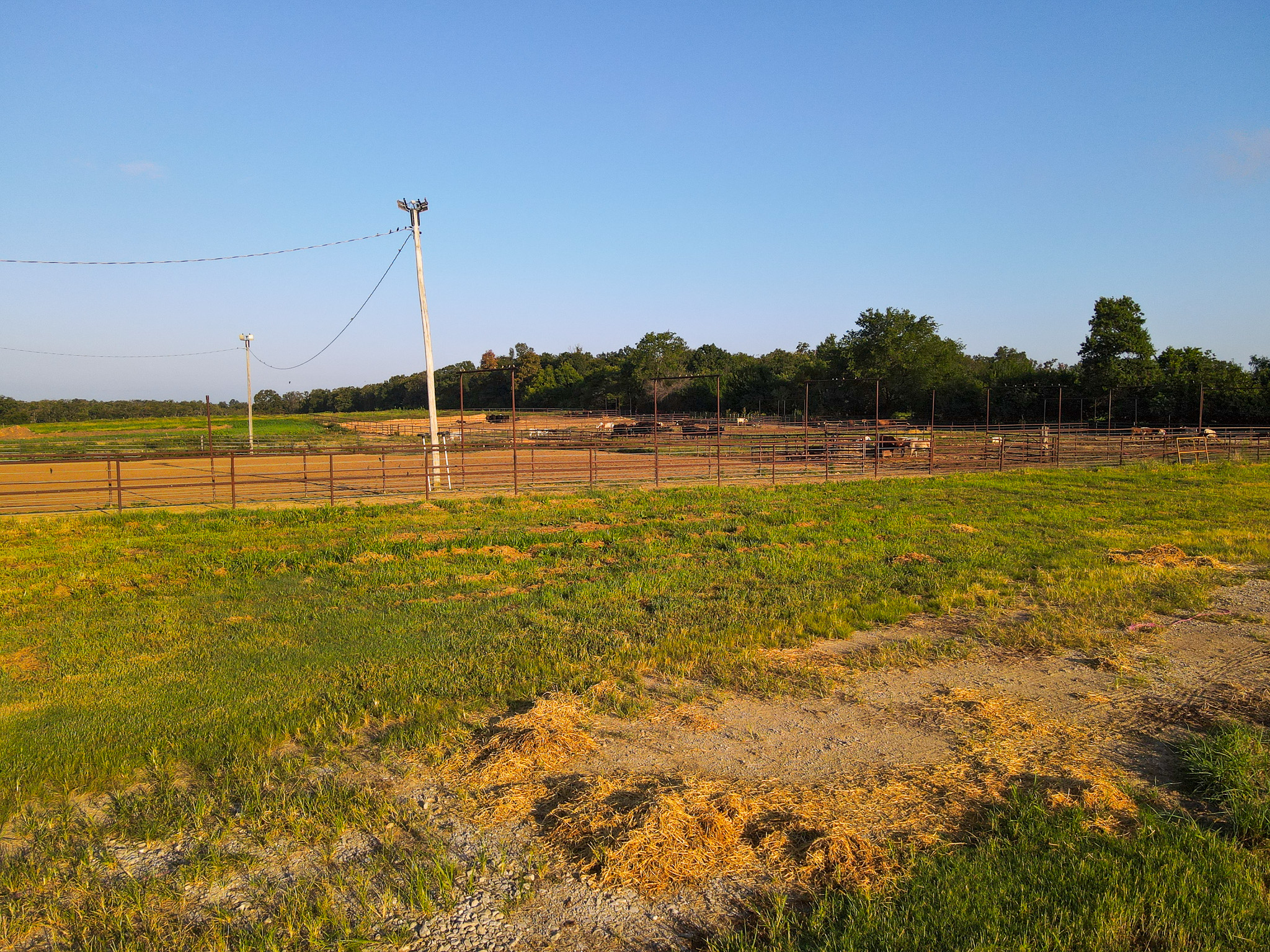 496+\- acres Sheldon MO