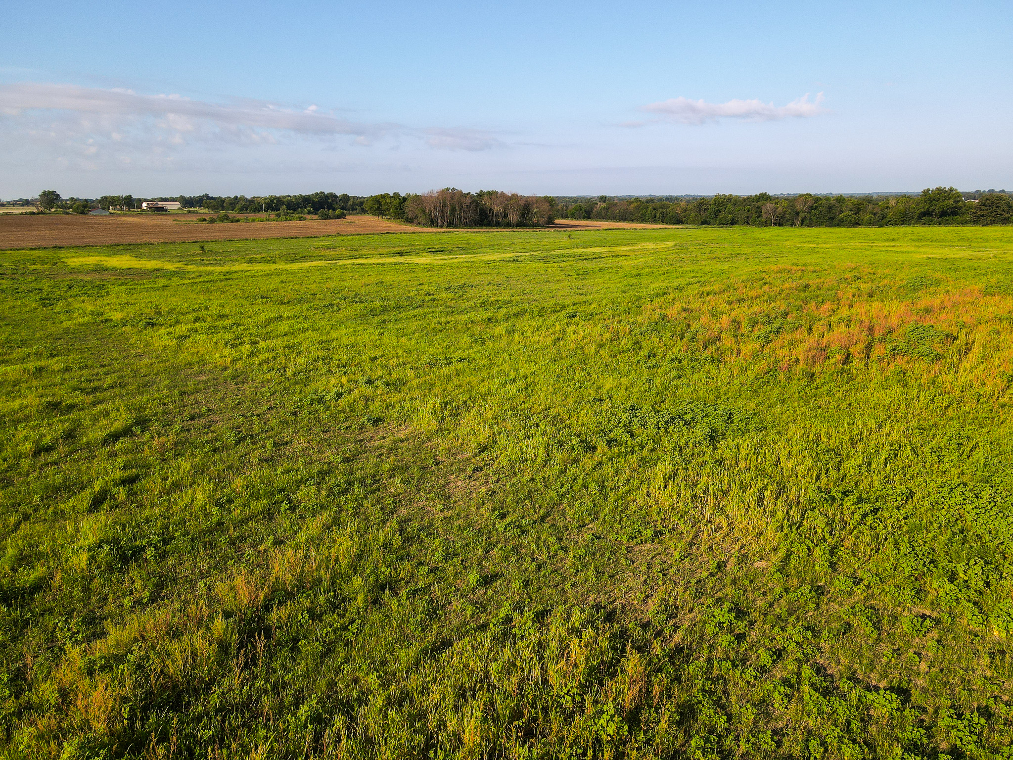 496+\- acres Sheldon MO