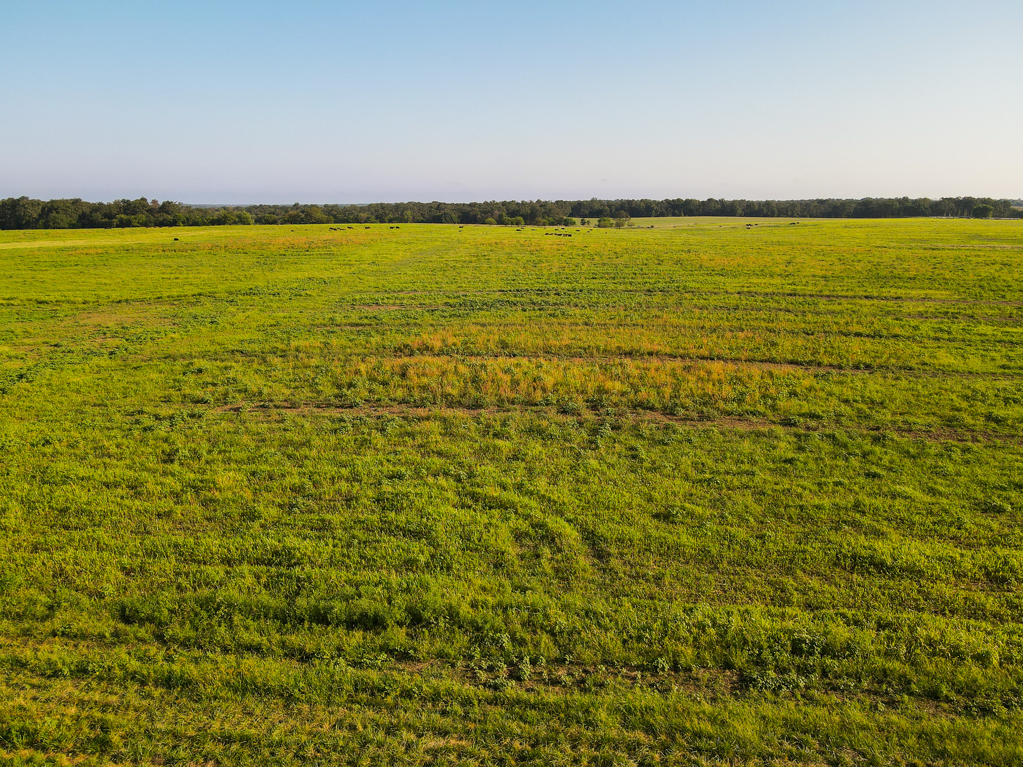 496+\- acres Sheldon MO