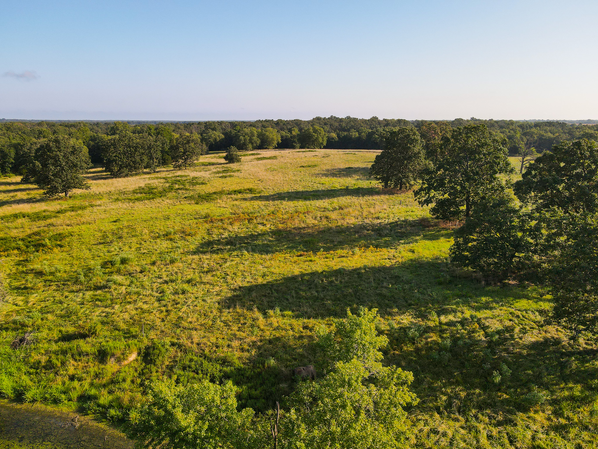 496+\- acres Sheldon MO