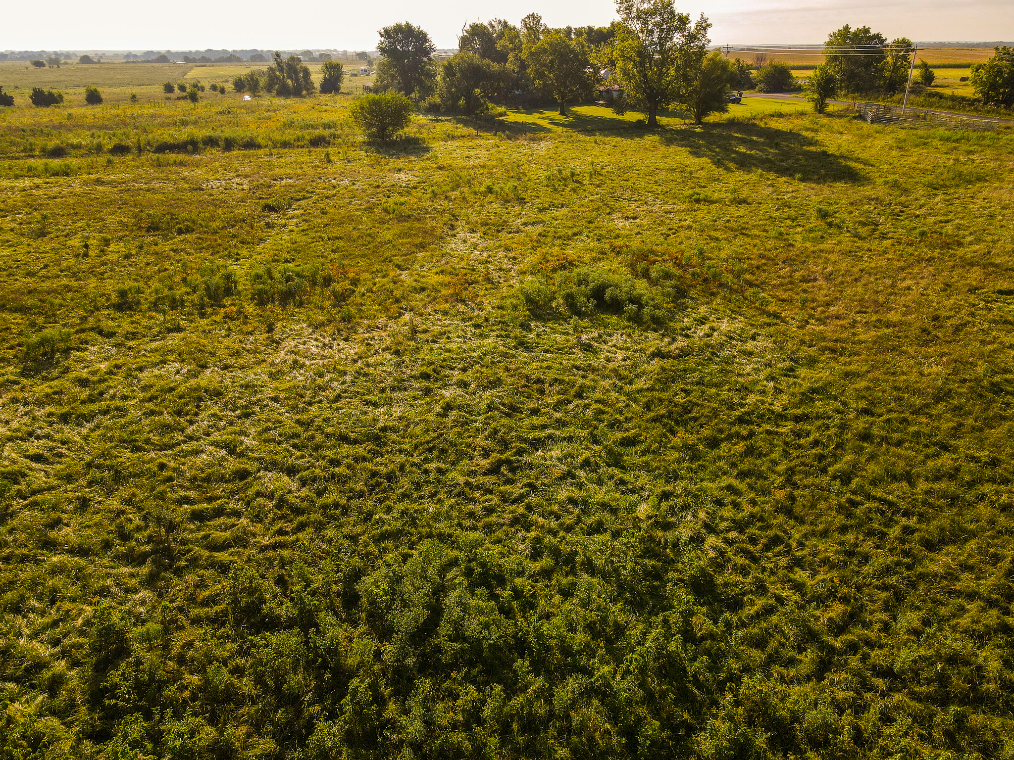 496+\- acres Sheldon MO