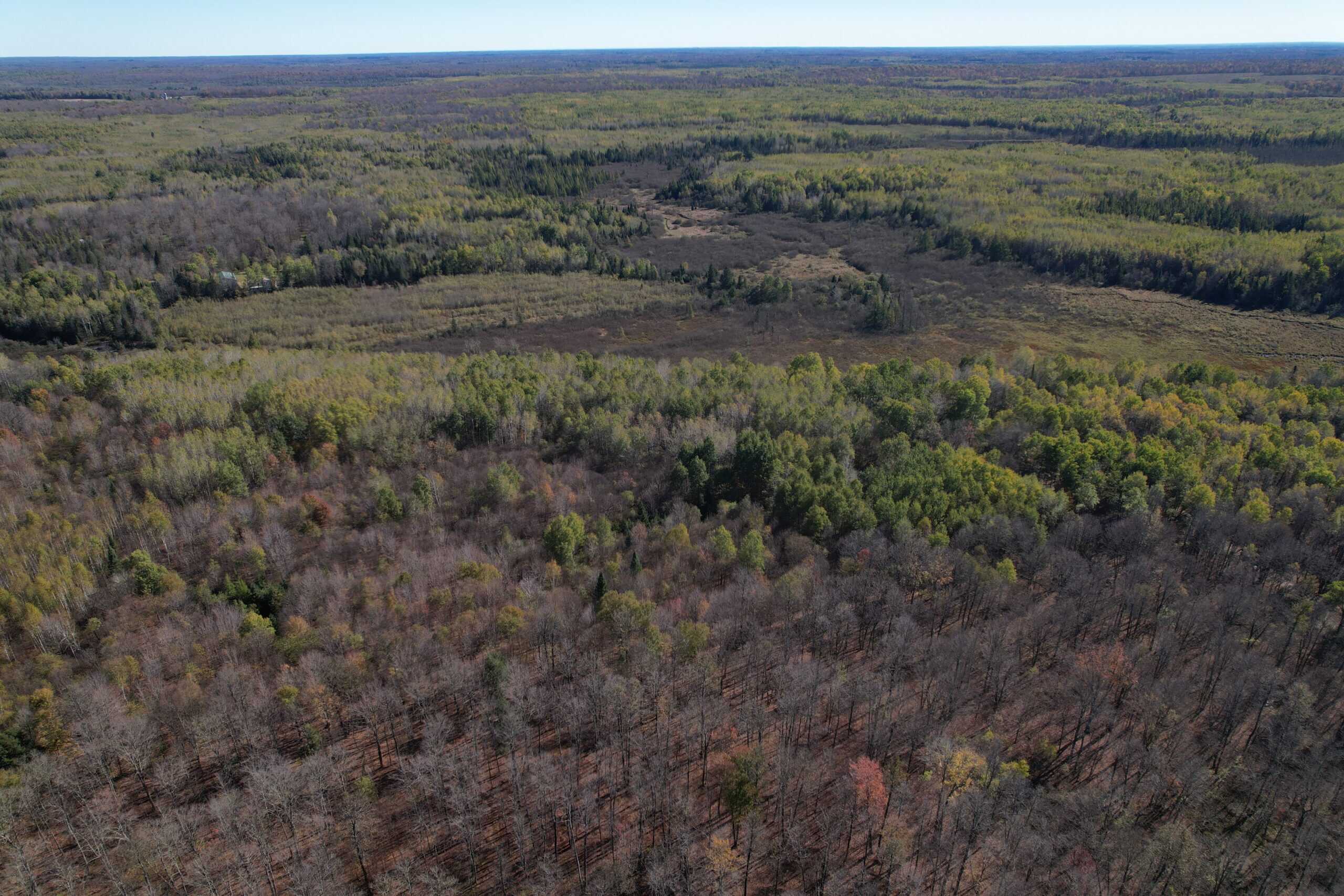 Land for Sale in Glidden, Wisconsin