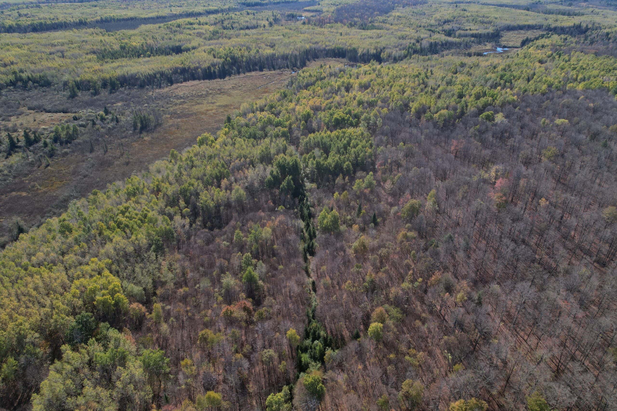 Land for Sale in Glidden, Wisconsin