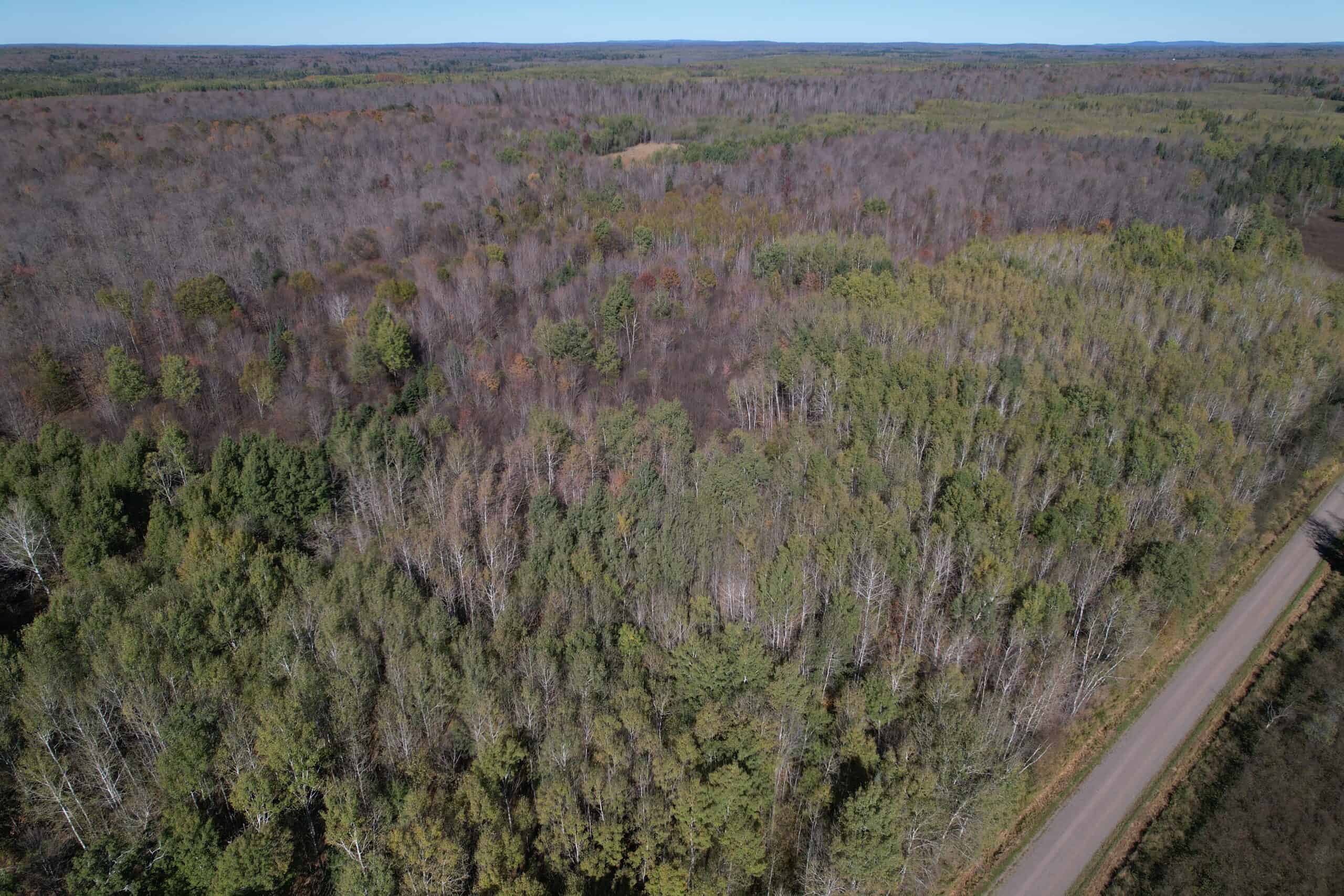 Land for Sale in Glidden, Wisconsin