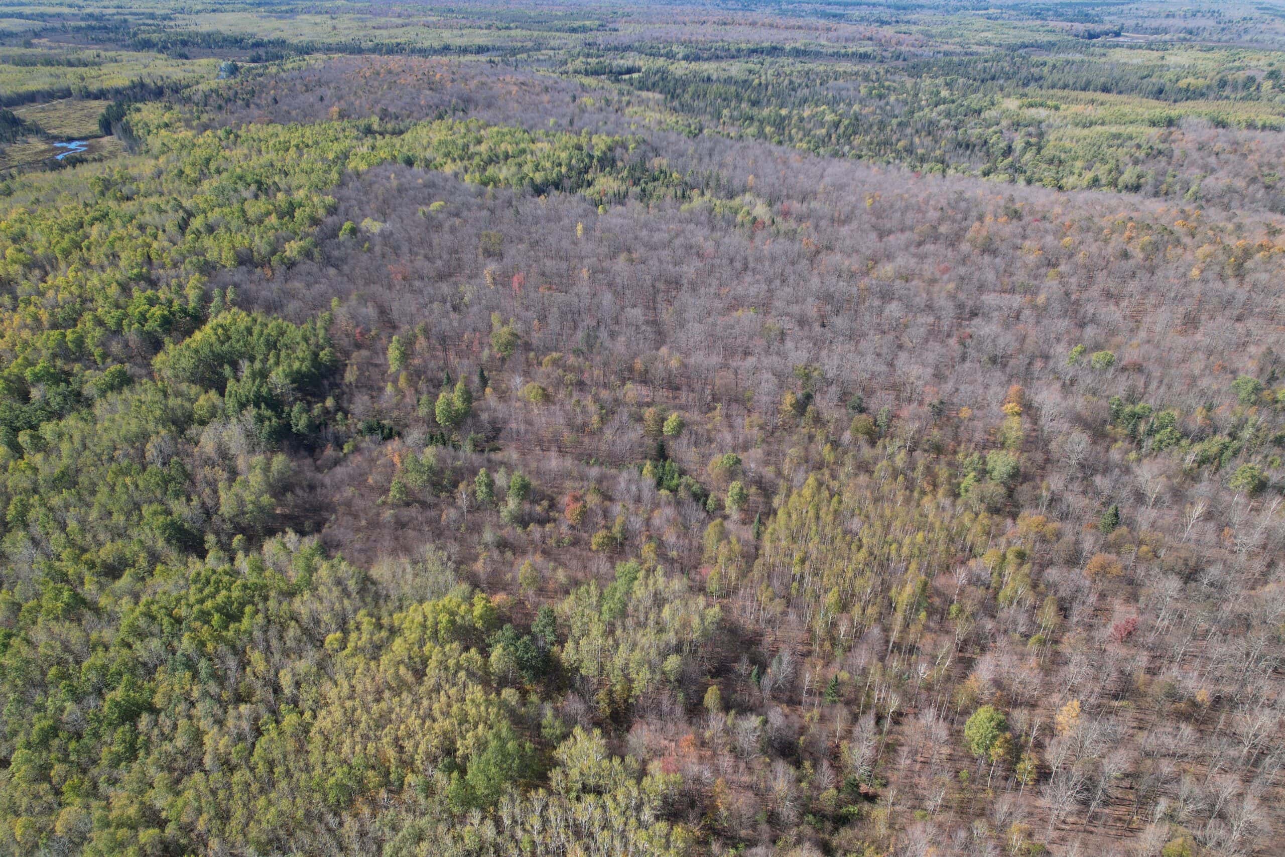 Land for Sale in Glidden, Wisconsin