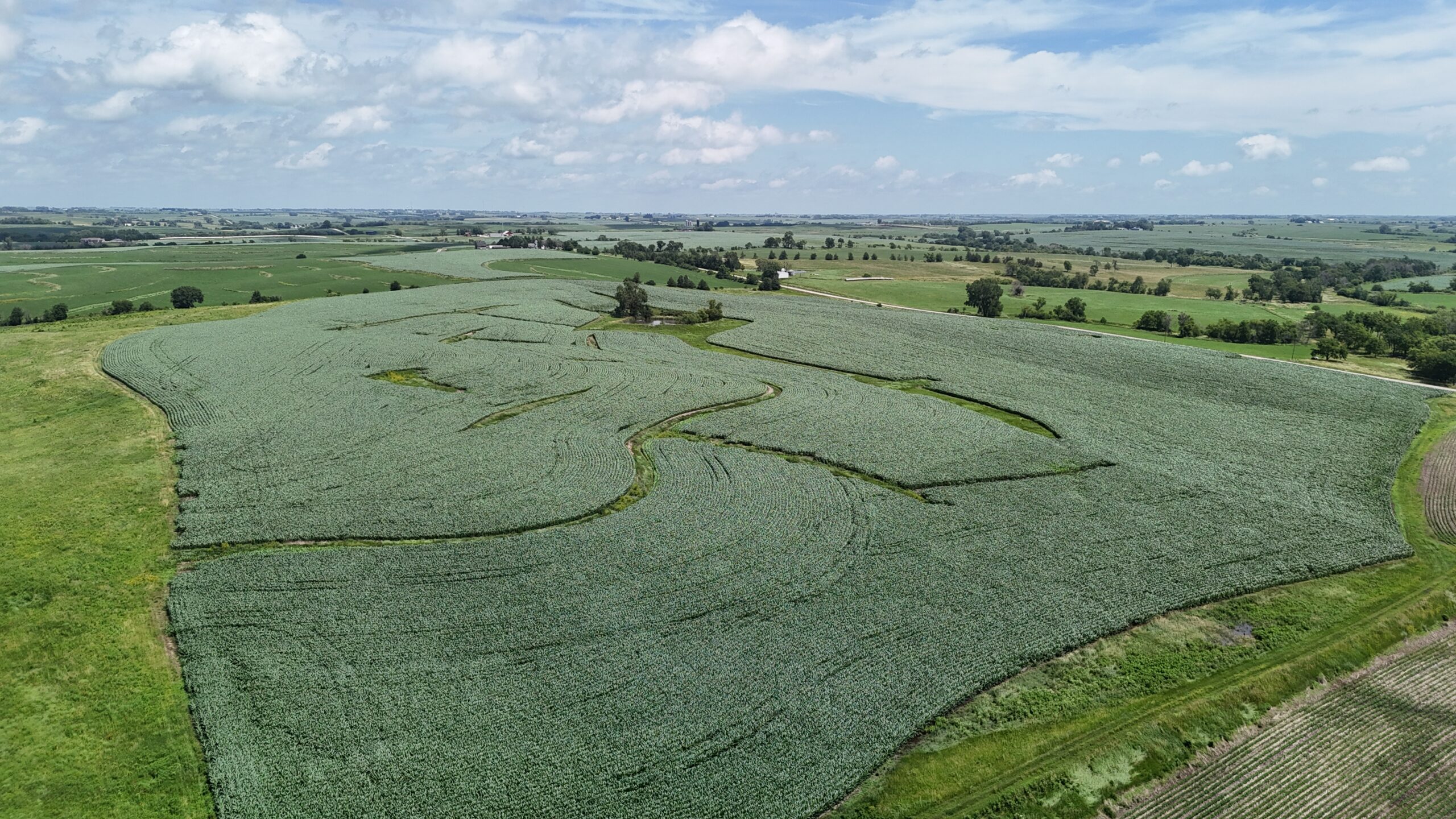 The Cooper Family Farm – Taylor County IA – iAuction