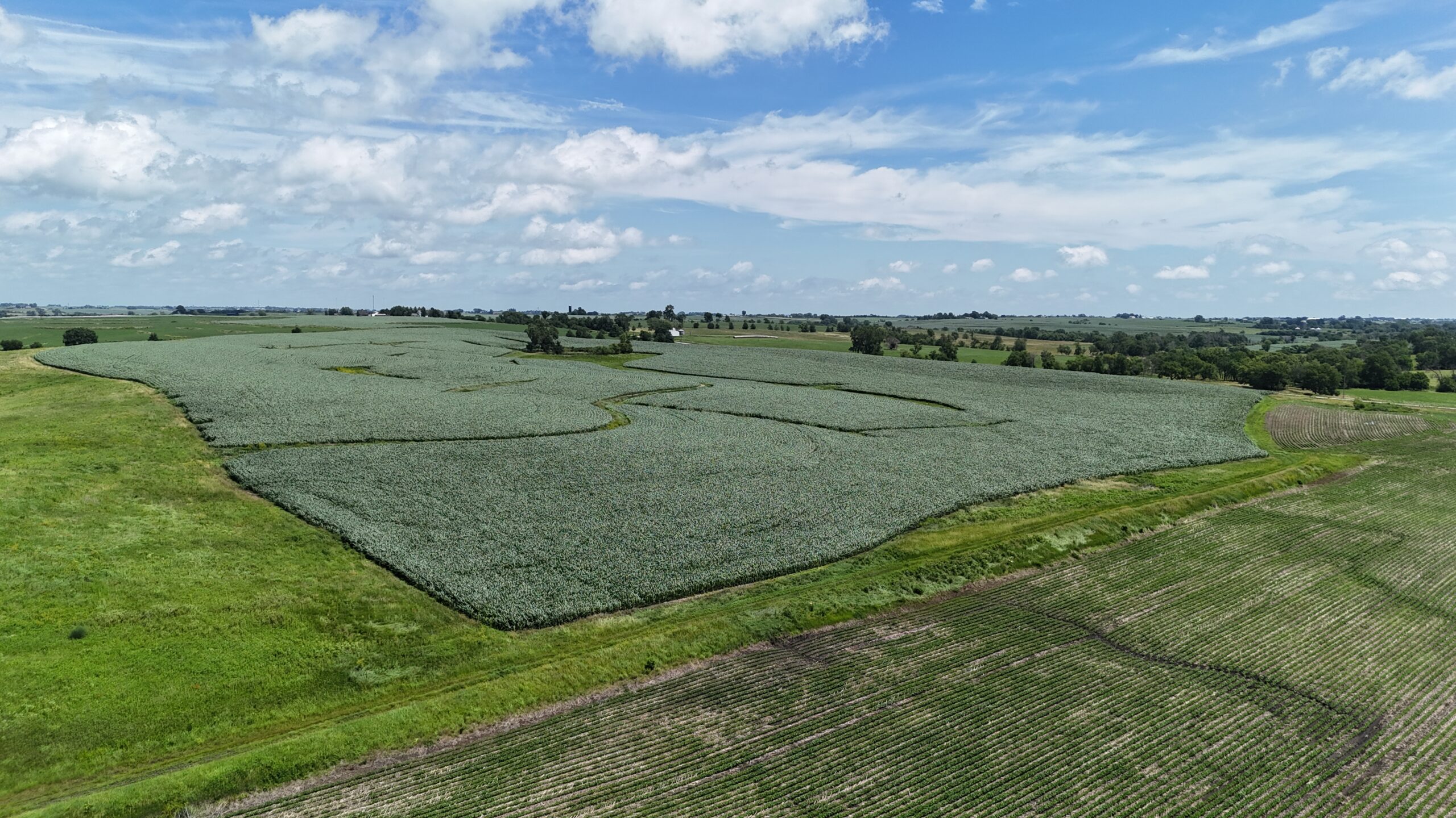 The Cooper Family Farm – Taylor County IA – iAuction