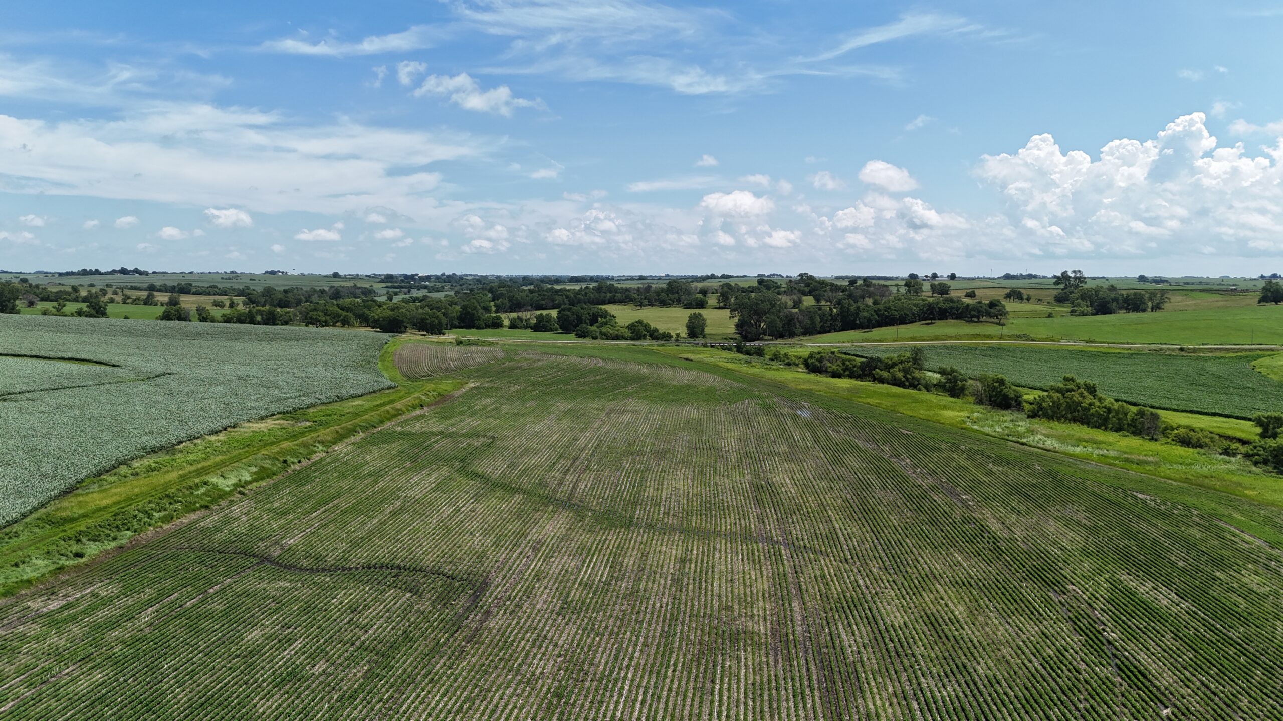 The Cooper Family Farm – Taylor County IA – iAuction