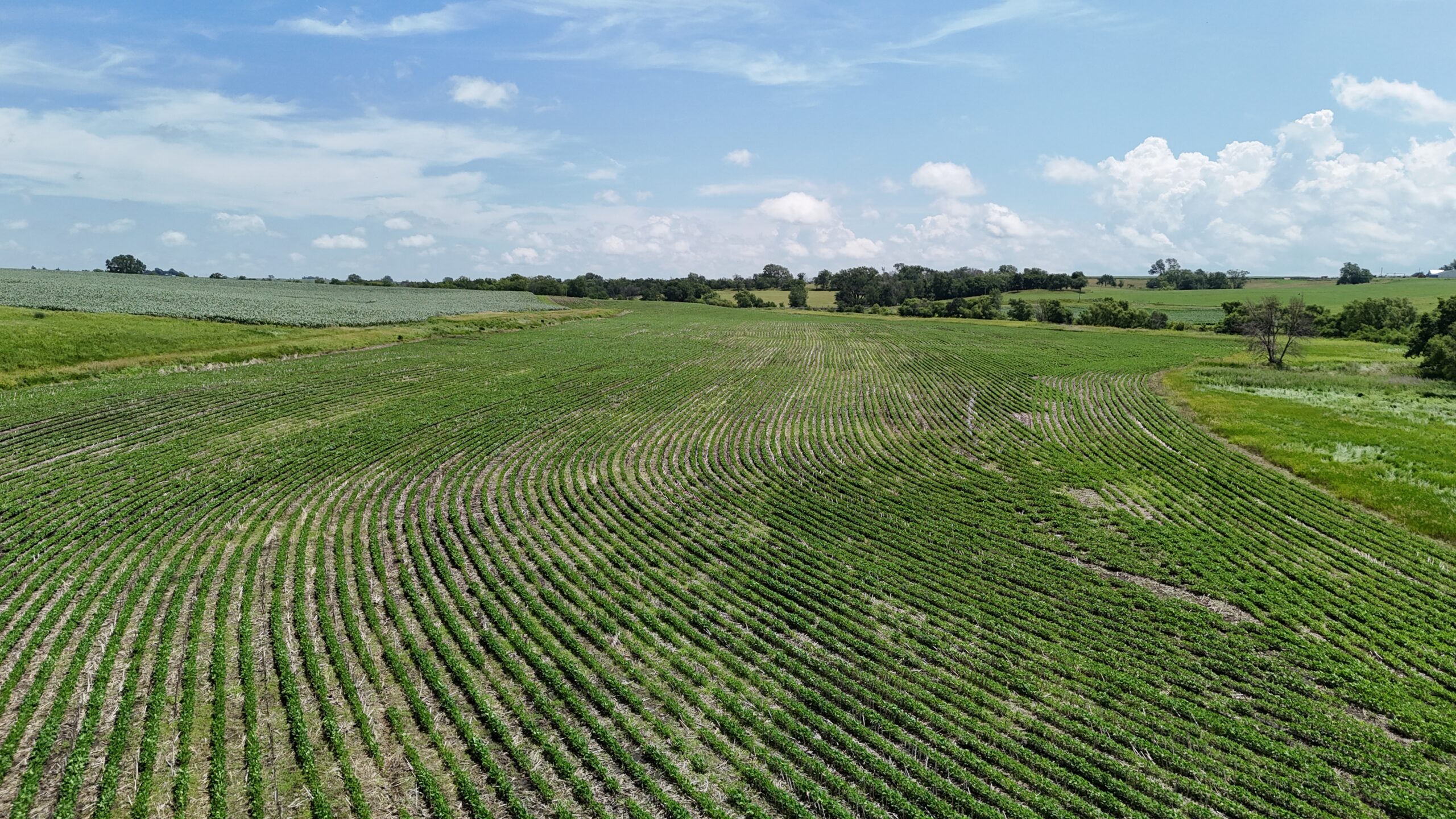 The Cooper Family Farm – Taylor County IA – iAuction