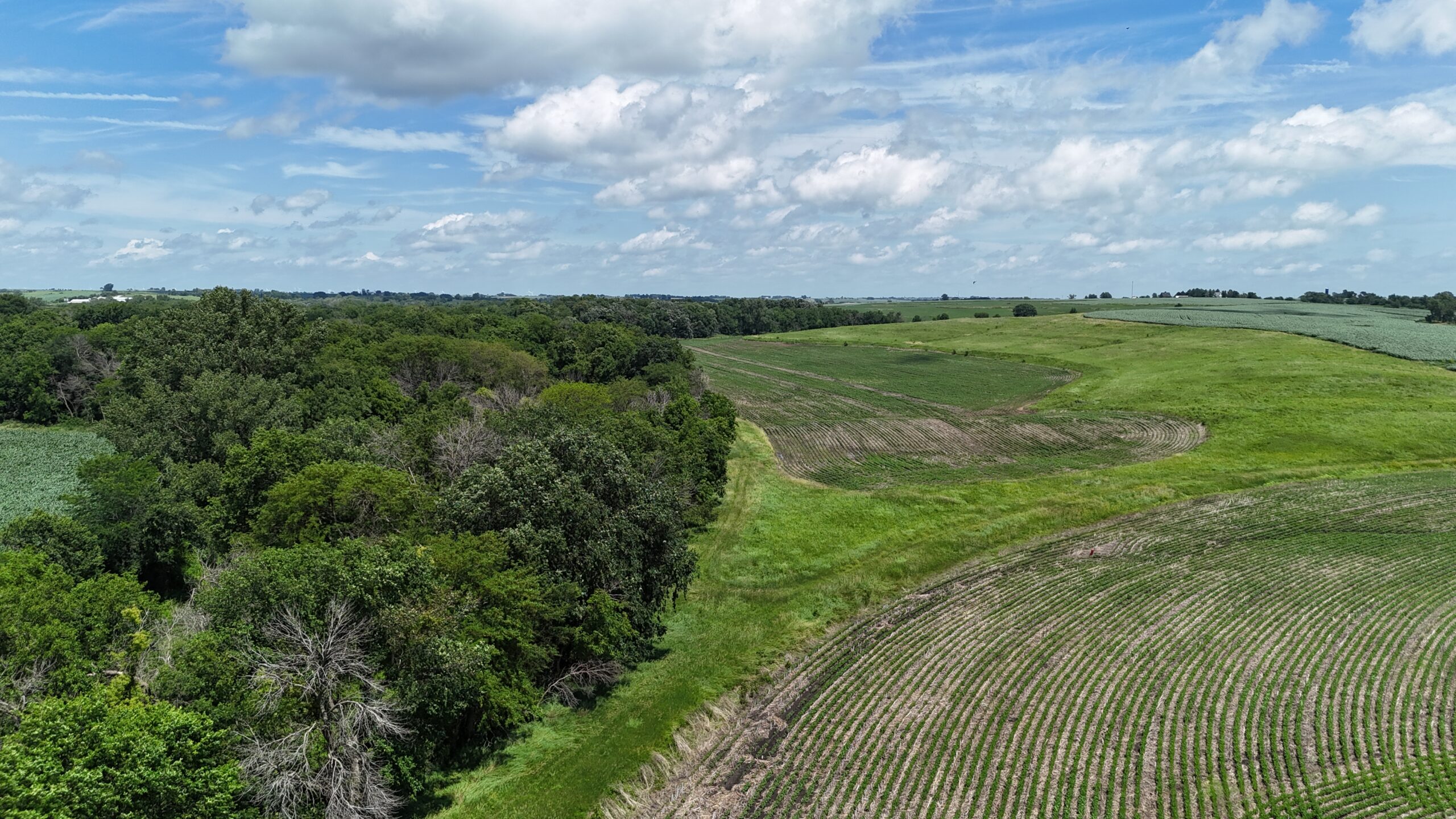 The Cooper Family Farm – Taylor County IA – iAuction