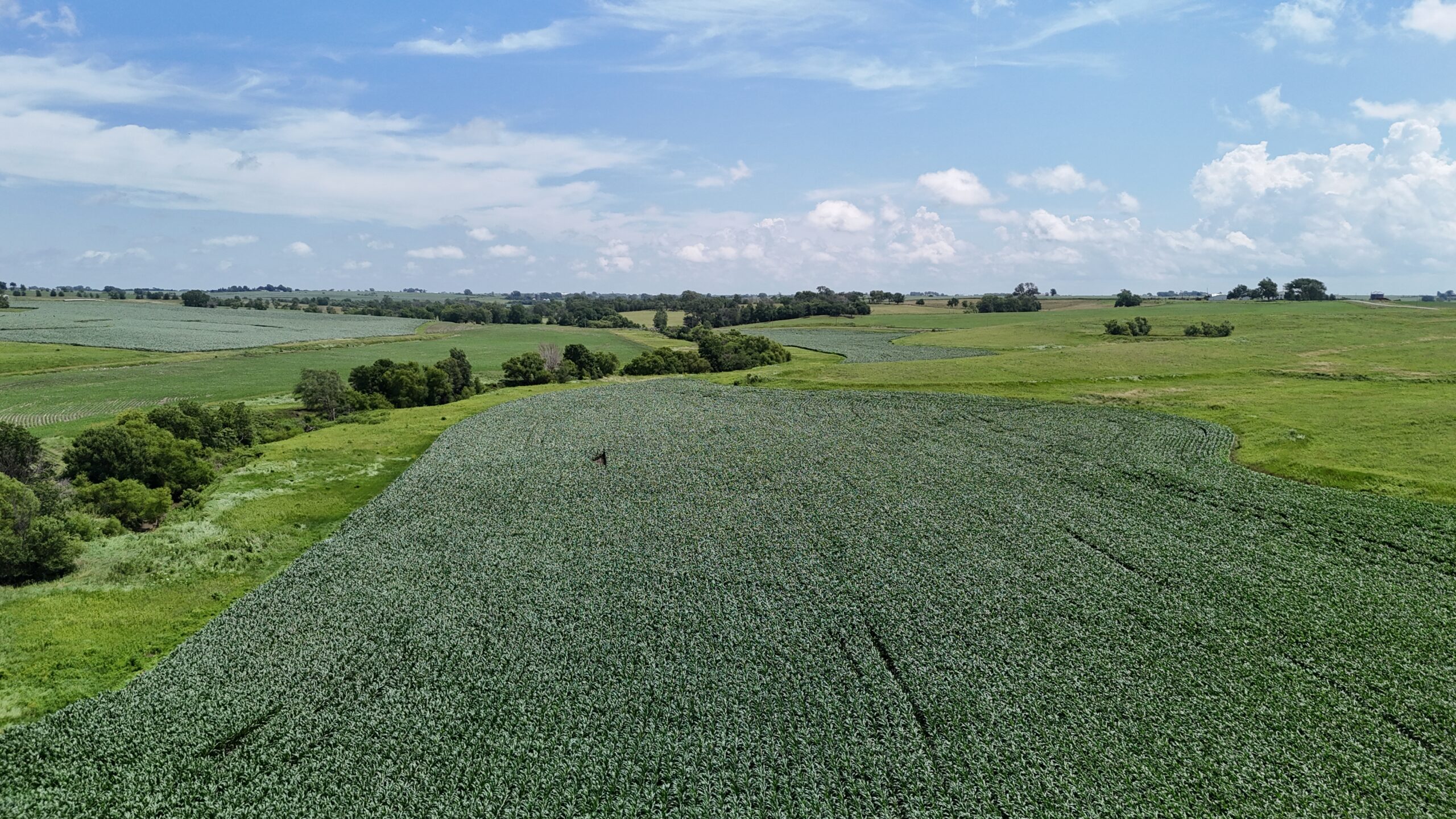 The Cooper Family Farm – Taylor County IA – iAuction