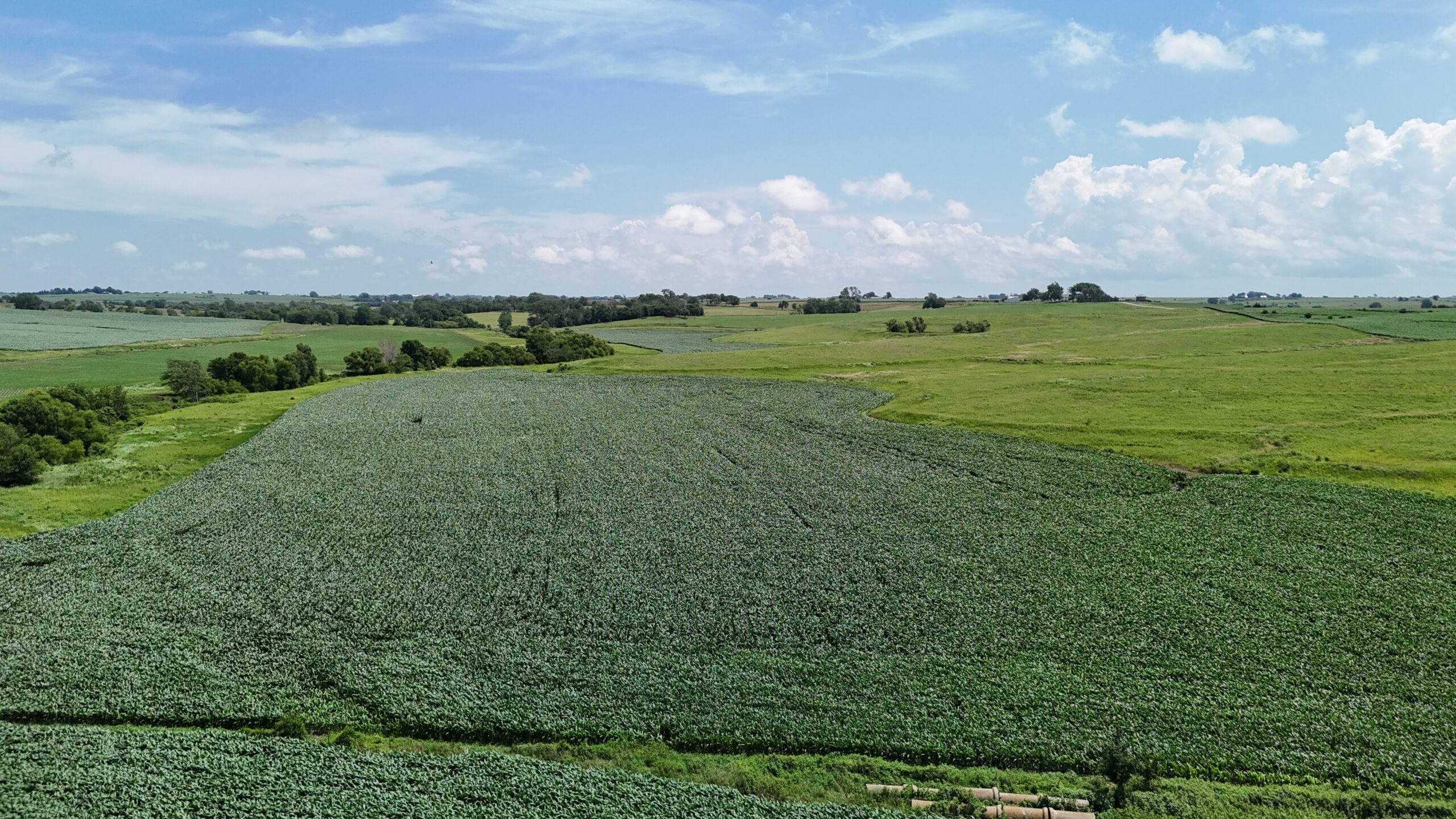 The Cooper Family Farm – Taylor County IA – iAuction
