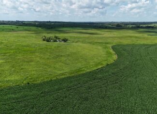 The Cooper Family Farm – Taylor County IA – iAuction