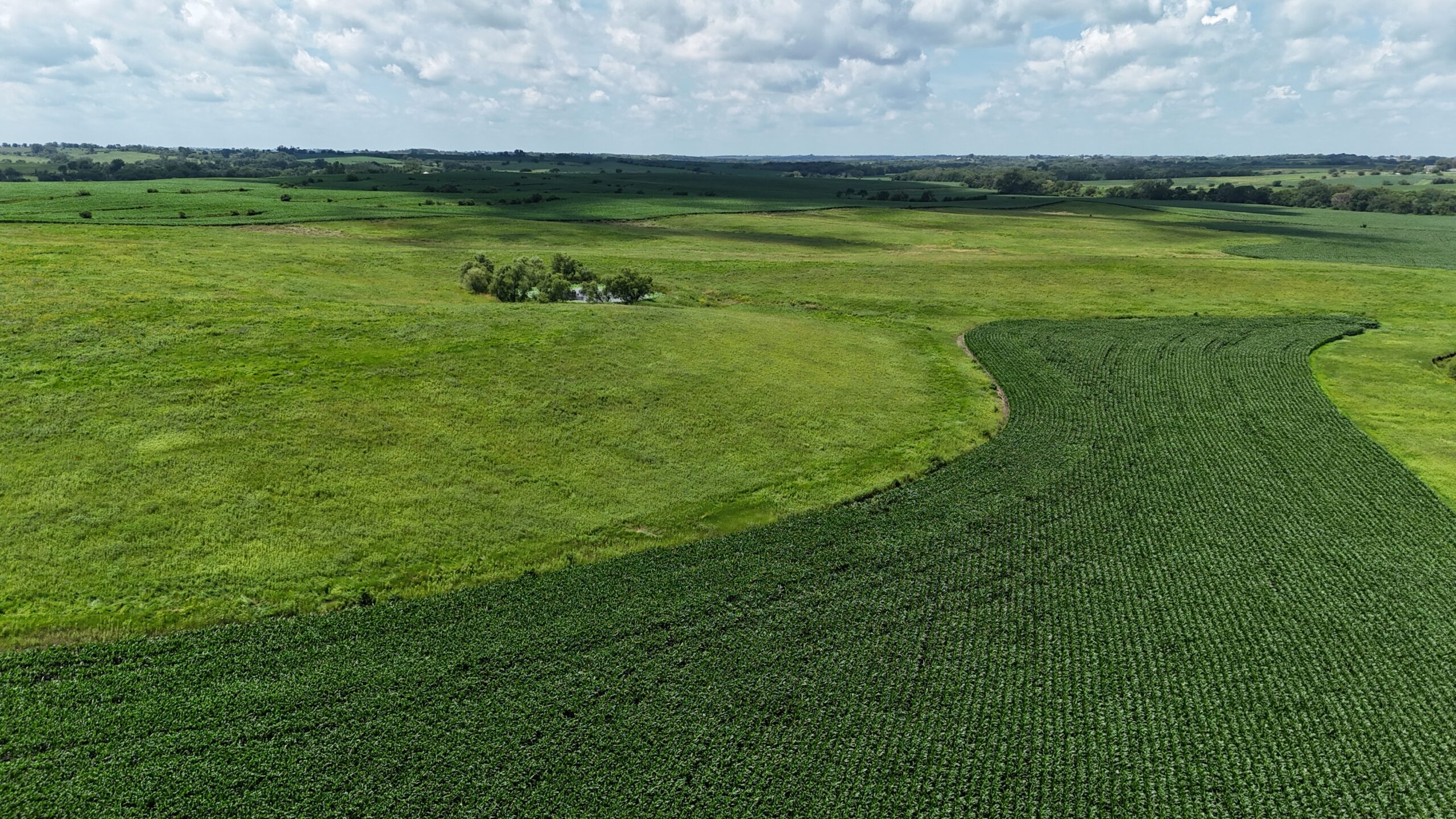 The Cooper Family Farm – Taylor County IA – iAuction