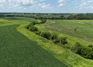 The Cooper Family Farm – Taylor County IA – iAuction
