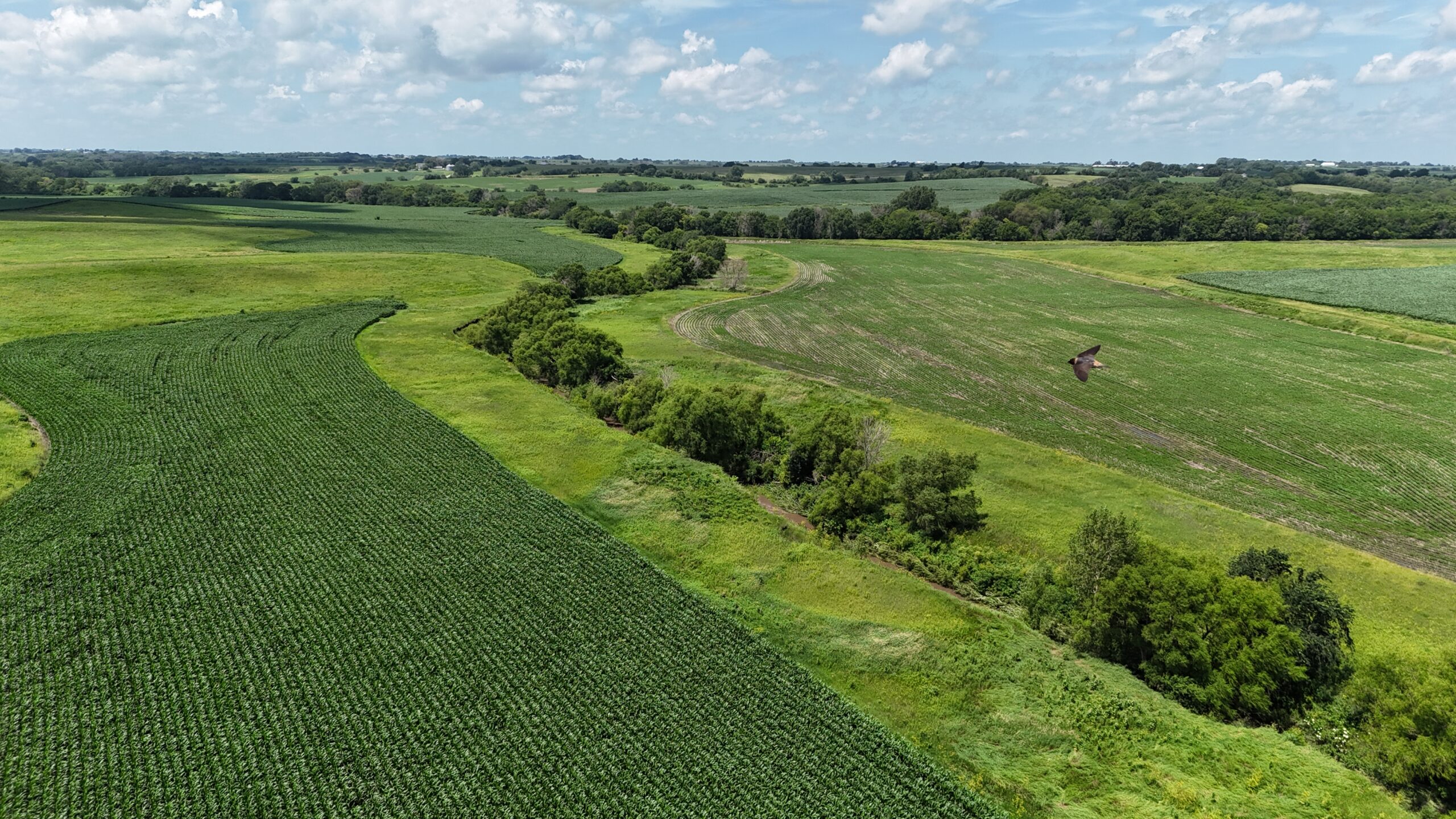 The Cooper Family Farm – Taylor County IA – iAuction