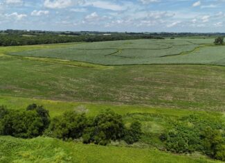 The Cooper Family Farm – Taylor County IA – iAuction