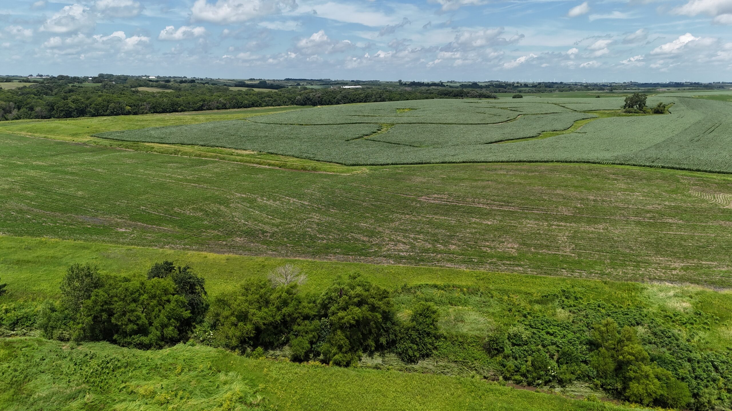 The Cooper Family Farm – Taylor County IA – iAuction