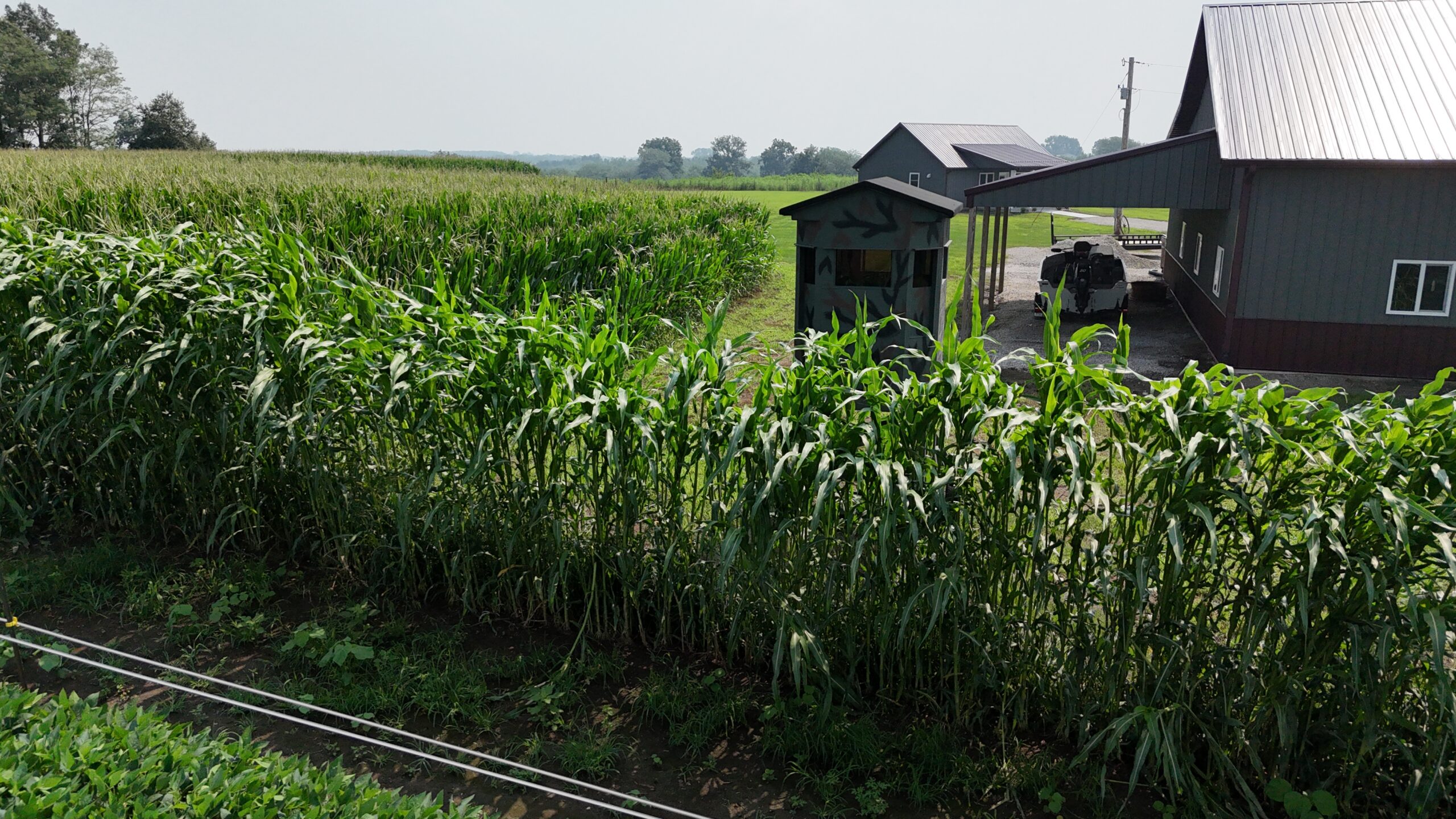 Dream Countryside Home + Guest Home in Moulton, IA