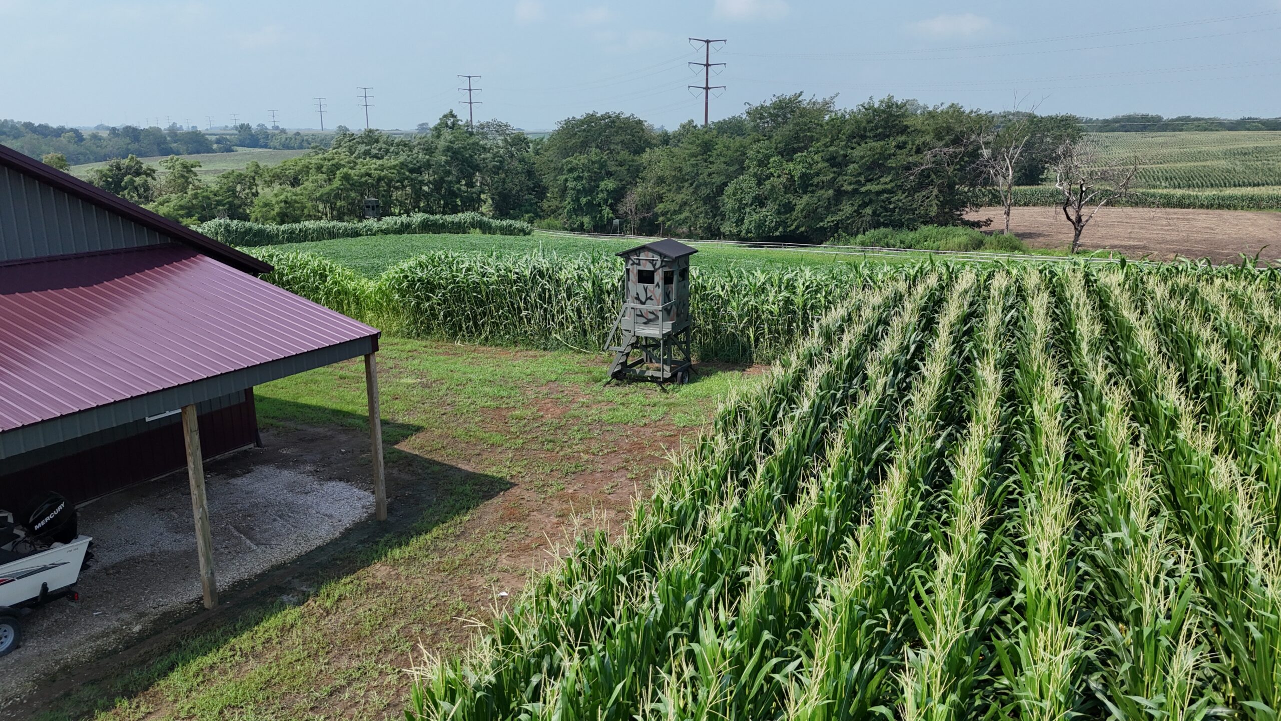 Dream Countryside Home + Guest Home in Moulton, IA