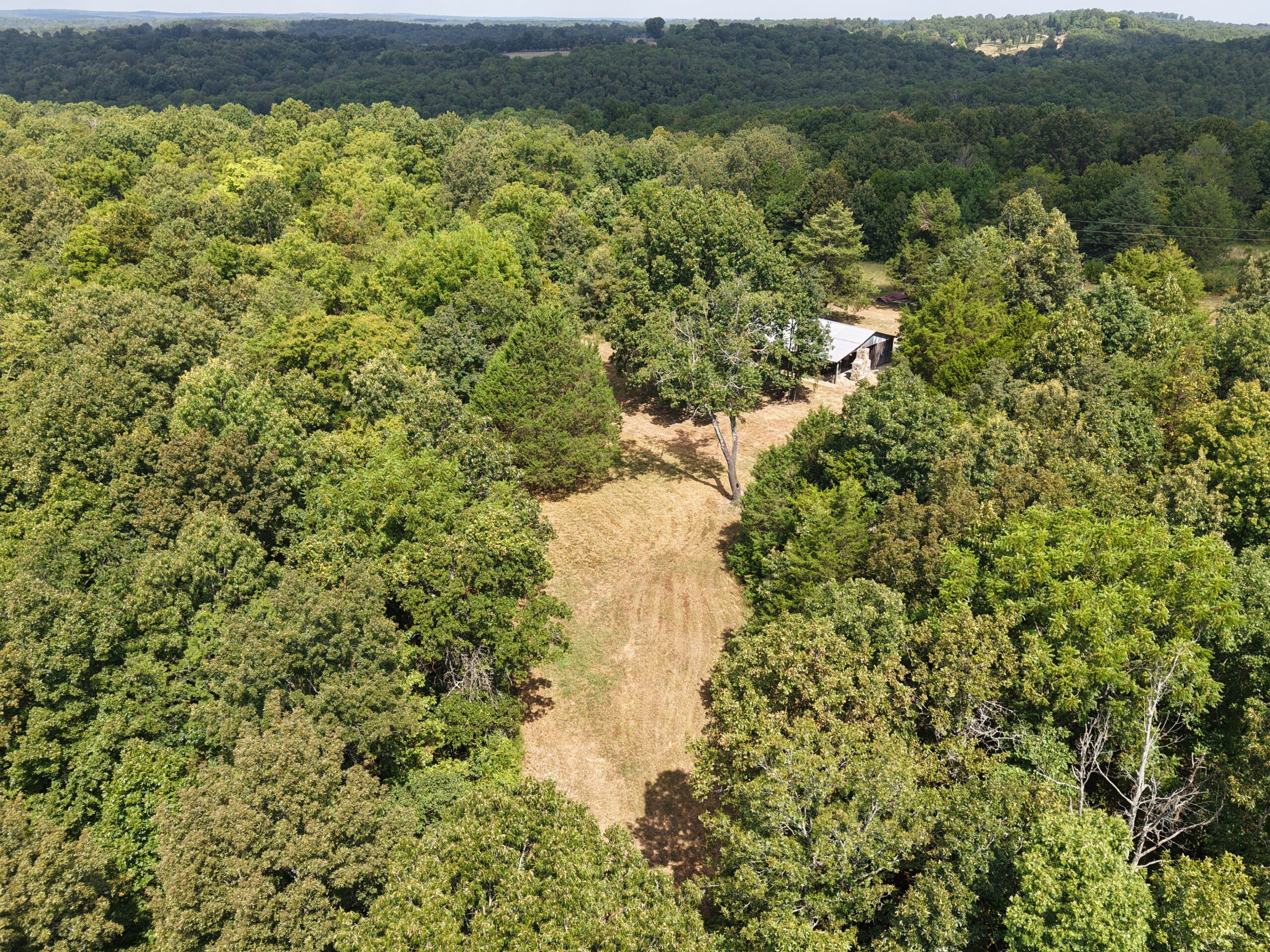 HUNTING LAND WITH CABIN FOR SALE IN NORTH CENTRAL ARKANSAS
