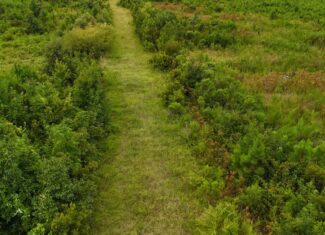 214 AC of Land with Creek Frontage & Investment Potential