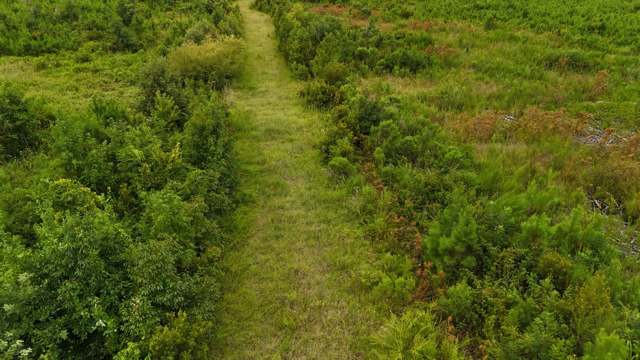 214 AC of Land with Creek Frontage & Investment Potential