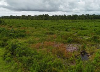 214 AC of Land with Creek Frontage & Investment Potential