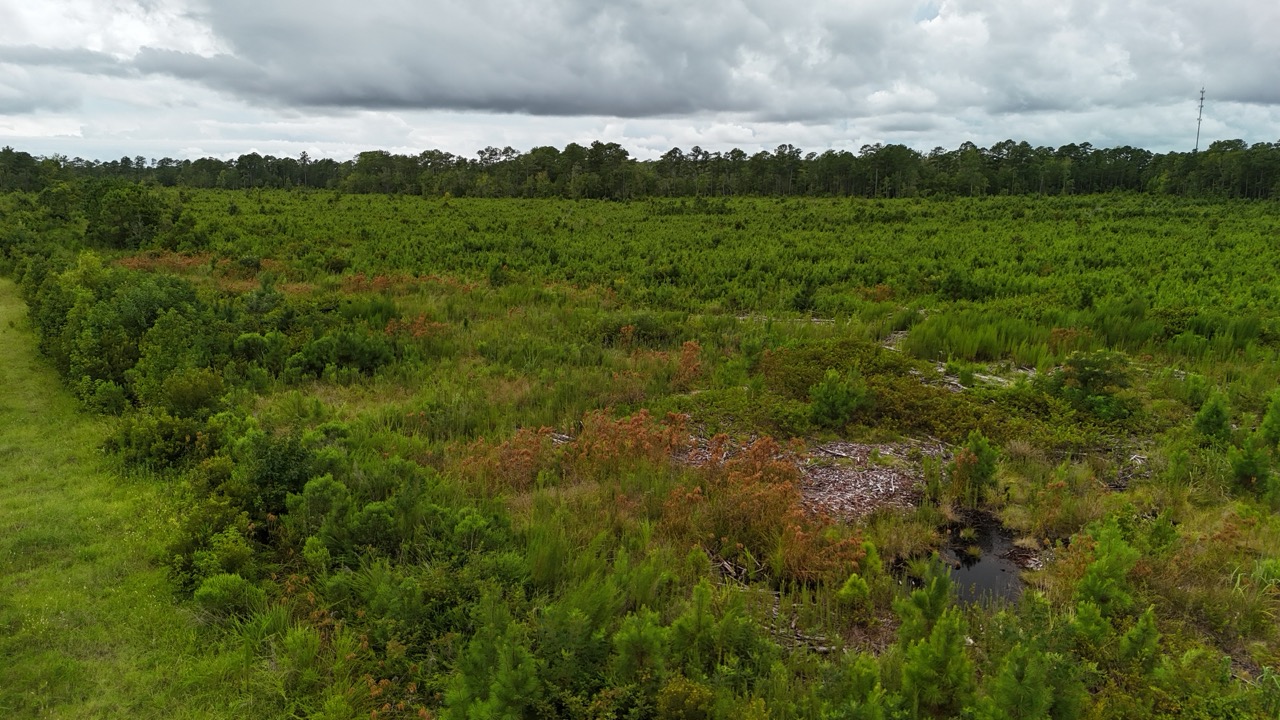 214 AC of Land with Creek Frontage & Investment Potential