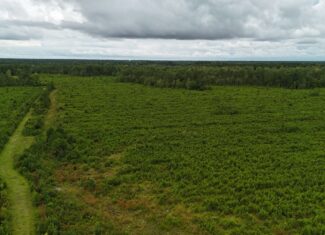 214 AC of Land with Creek Frontage & Investment Potential