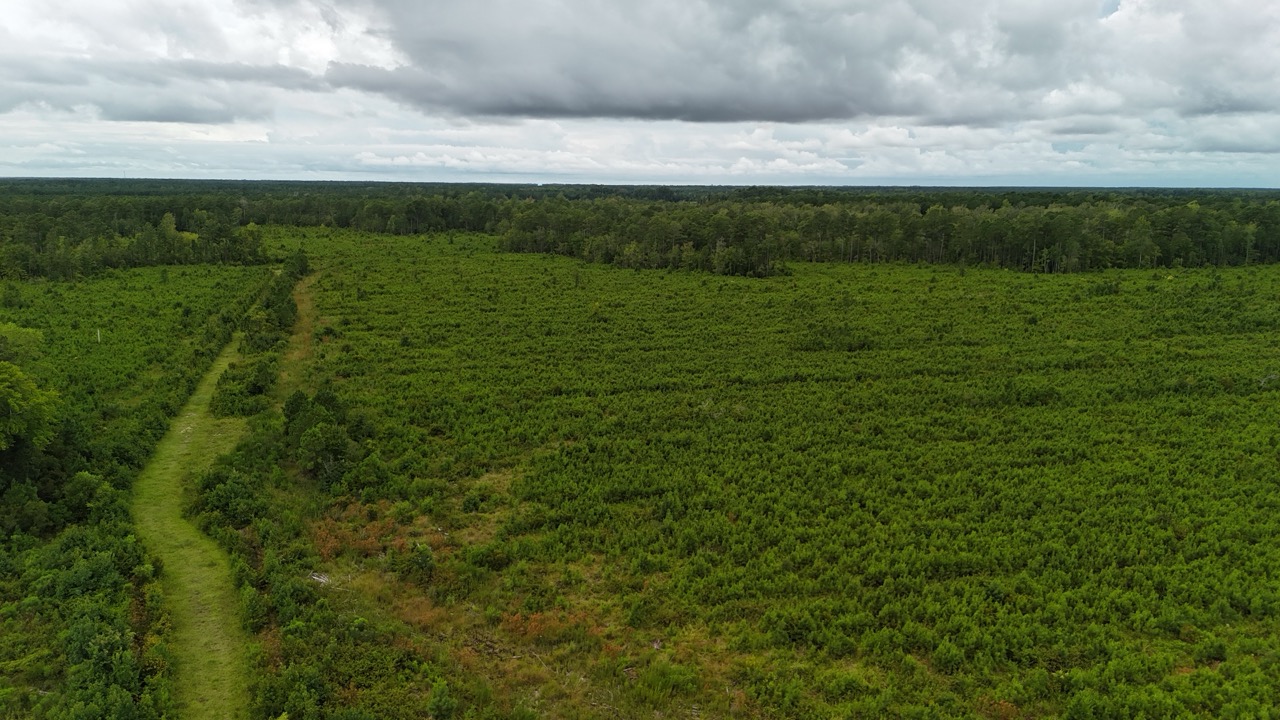 214 AC of Land with Creek Frontage & Investment Potential