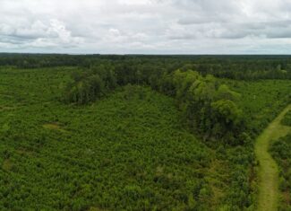 214 AC of Land with Creek Frontage & Investment Potential