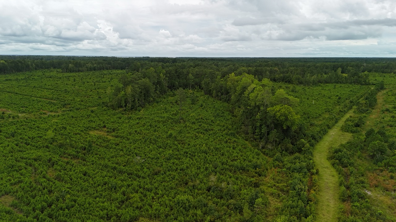214 AC of Land with Creek Frontage & Investment Potential