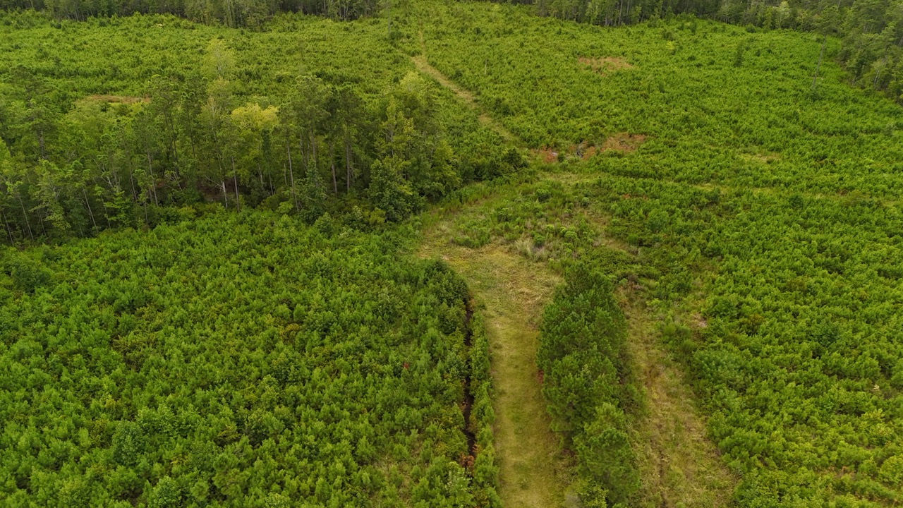 214 AC of Land with Creek Frontage & Investment Potential