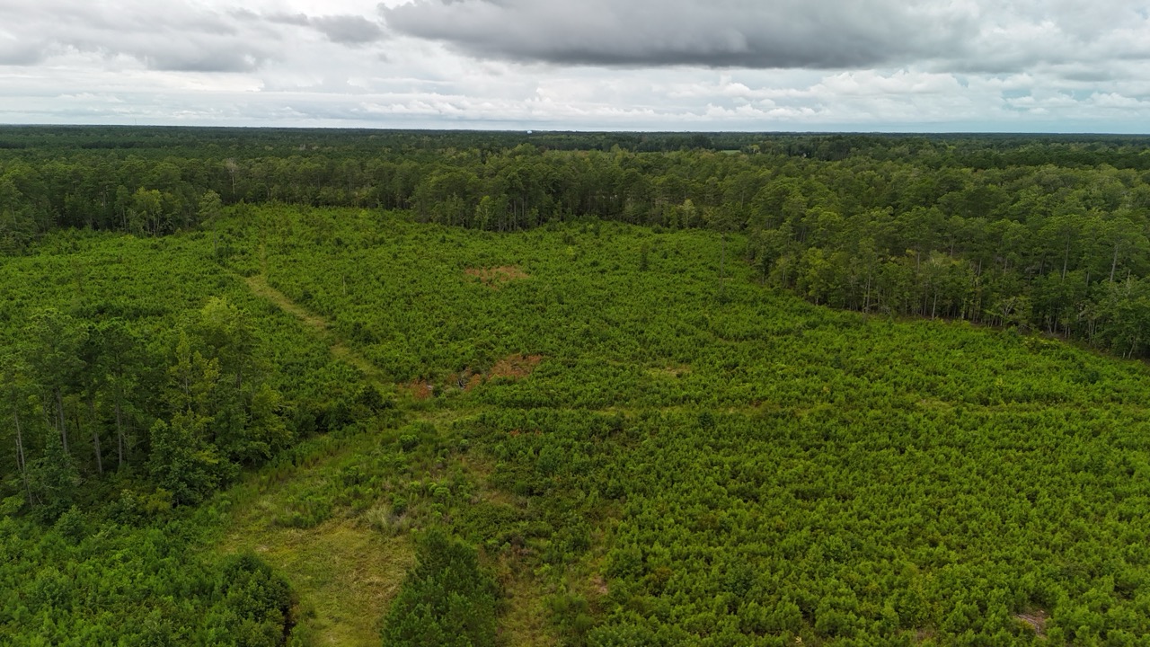 214 AC of Land with Creek Frontage & Investment Potential