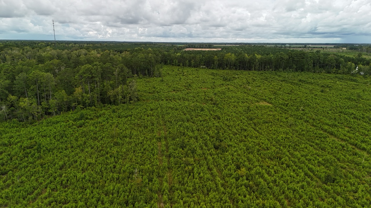 214 AC of Land with Creek Frontage & Investment Potential