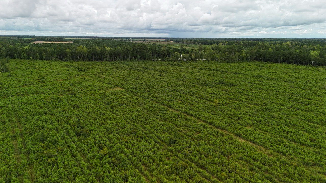 214 AC of Land with Creek Frontage & Investment Potential