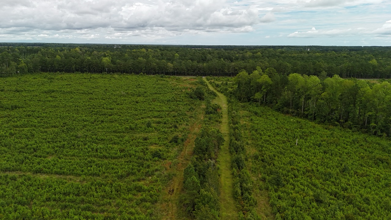 214 AC of Land with Creek Frontage & Investment Potential