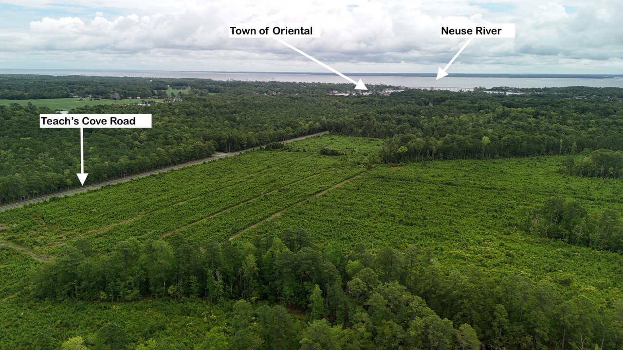 214 AC of Land with Creek Frontage & Investment Potential